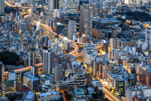 View of Tokyo city from Mori Tower, Roppongi Hills, Tokyo, Japan