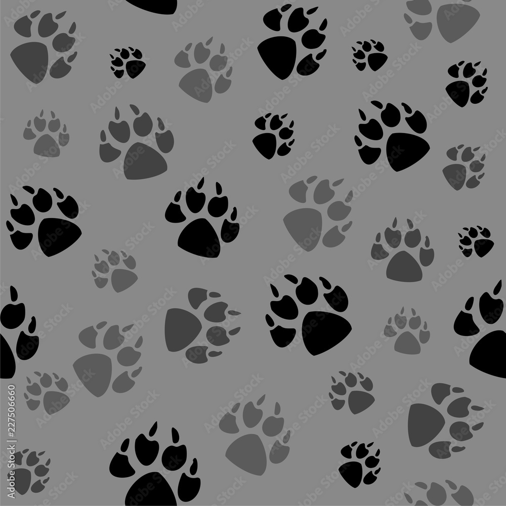Animal black foots and wildlife Animal black foots and wildlife