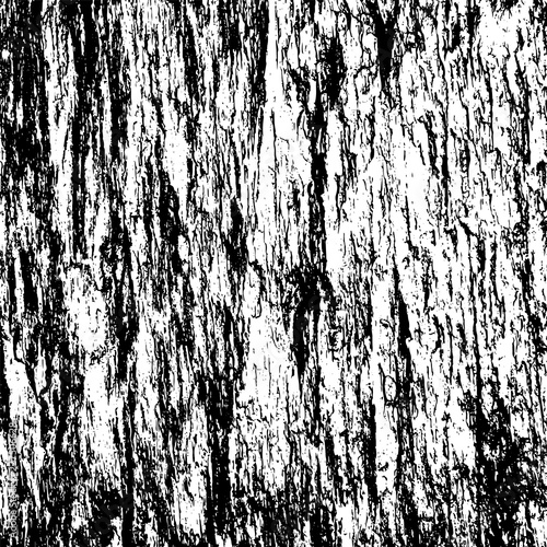 Tree bark texture background vector