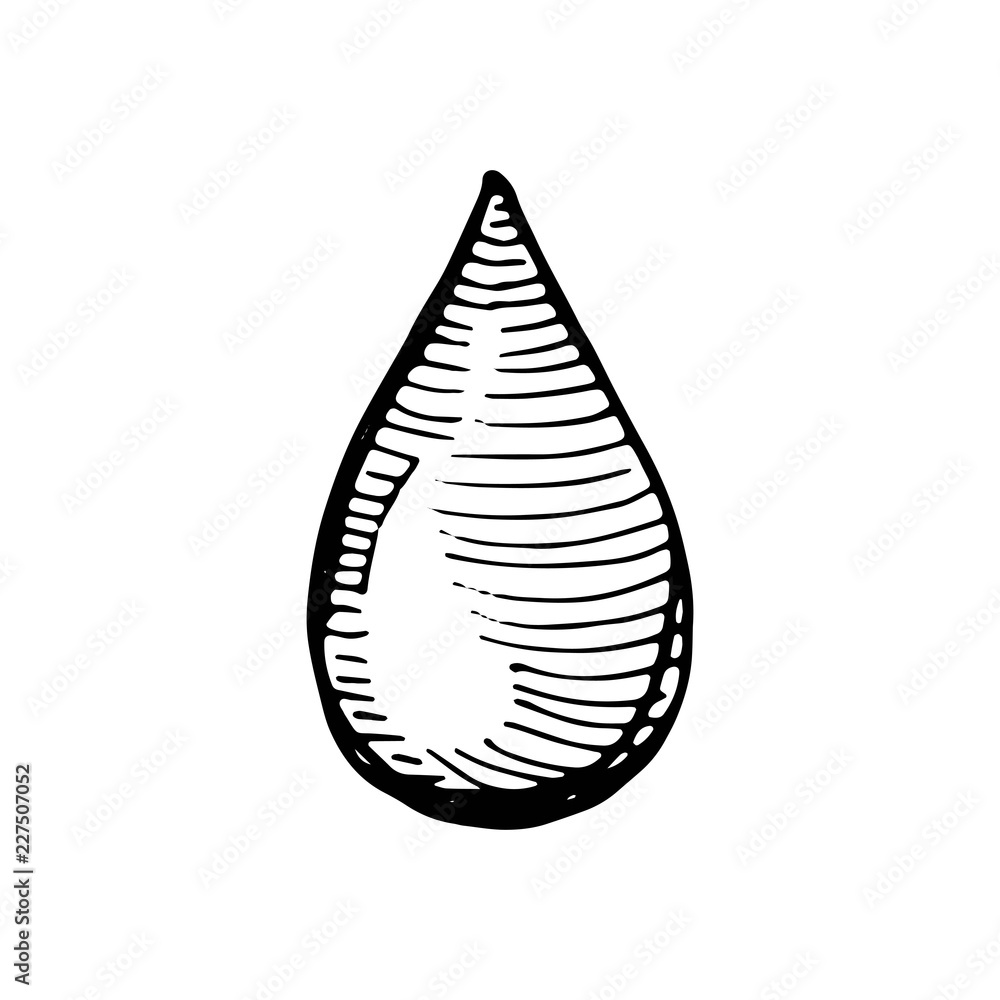 water drop icon. sketch isolated object water drop icon. sketch isolated object
