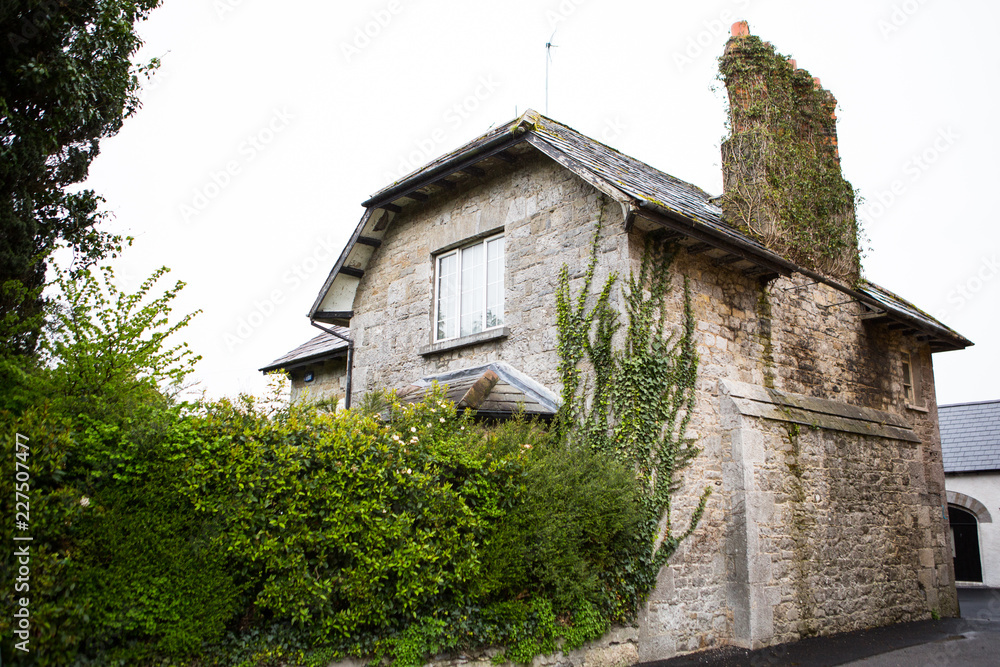 Obraz premium Irish Buildings