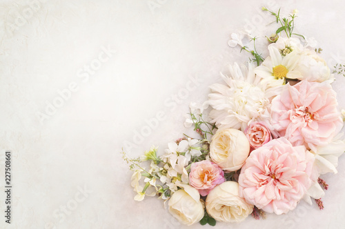 Summer blossoming delicate rose on blooming flowers festive background, pastel and soft bouquet floral card