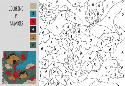 Coloring by number, education game. A challenge for junior schoolchildren.