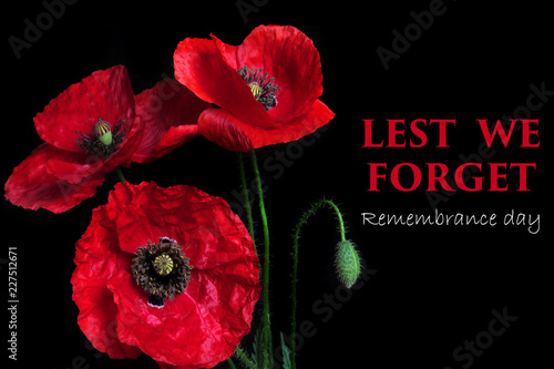 Remembrance Day greeting card. Beautiful red poppy flower on black background with lettering