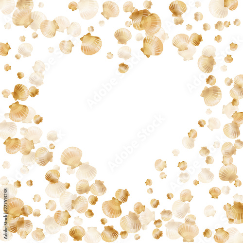 Gold seashells vector pearl bivalved mollusks.