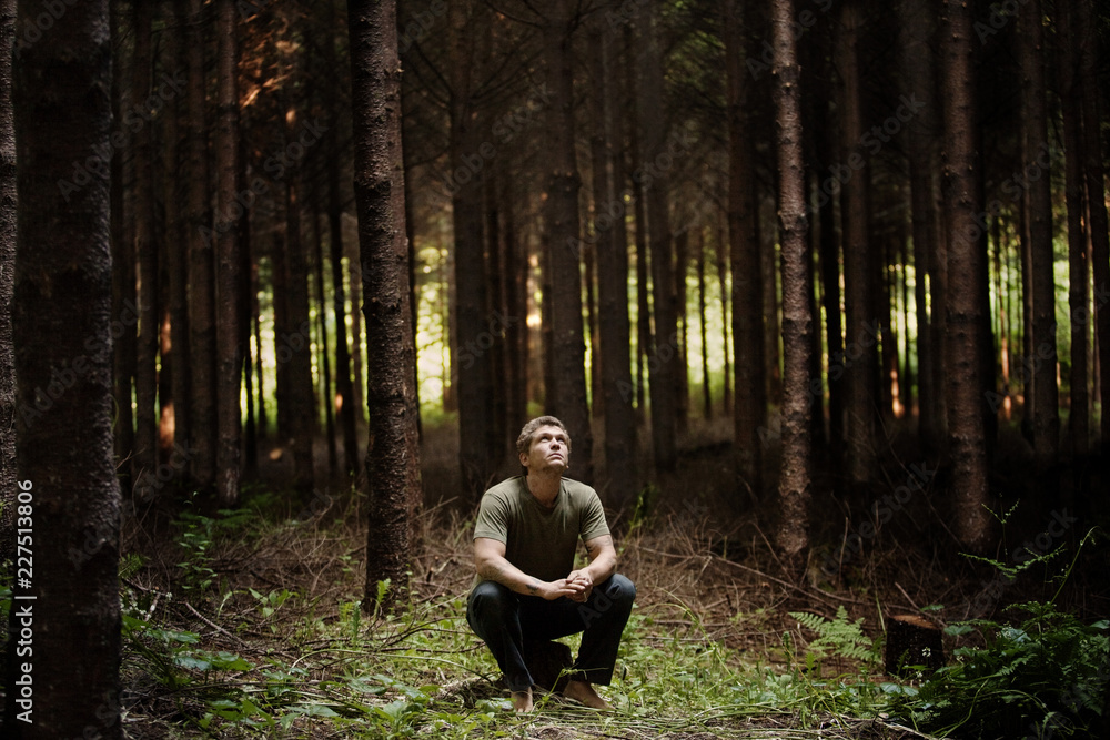 Fototapeta premium Man sitting on tree stump in forest and looking up