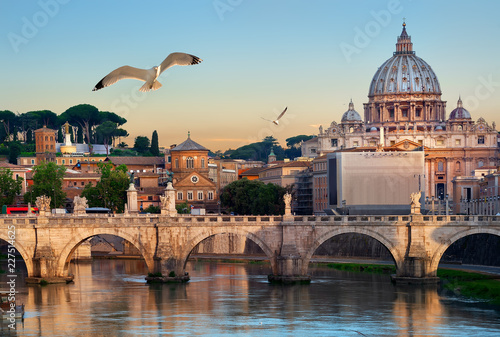 Vászonkép Birds and Vatican