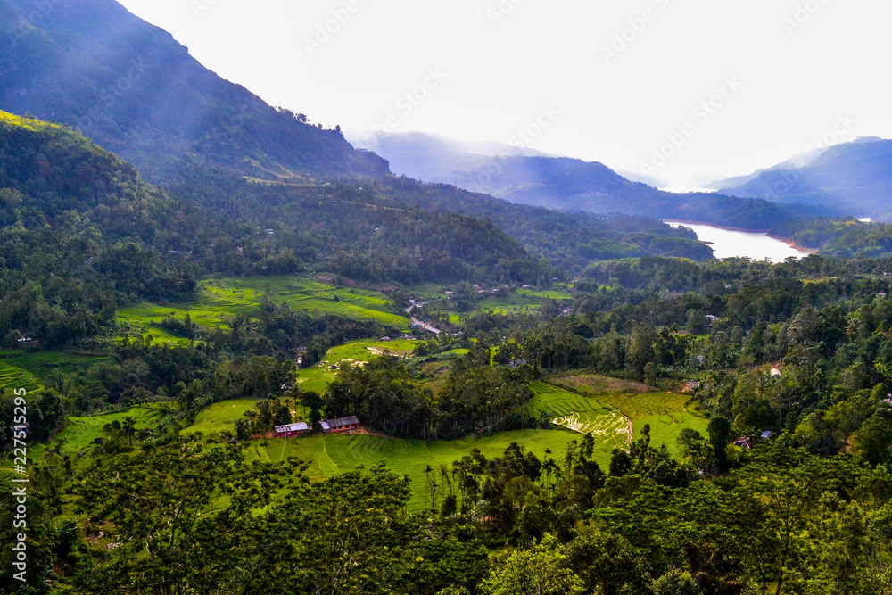 Sir Lanka Landscape 