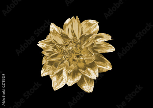 Gold flower on a black background .