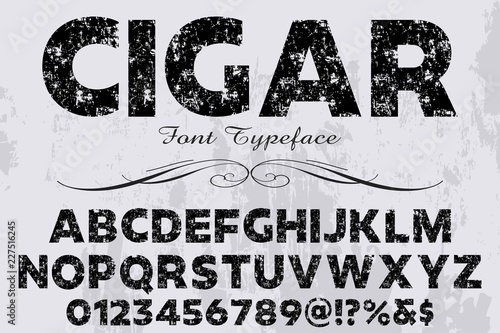 Vector illustration,font script typeface vector