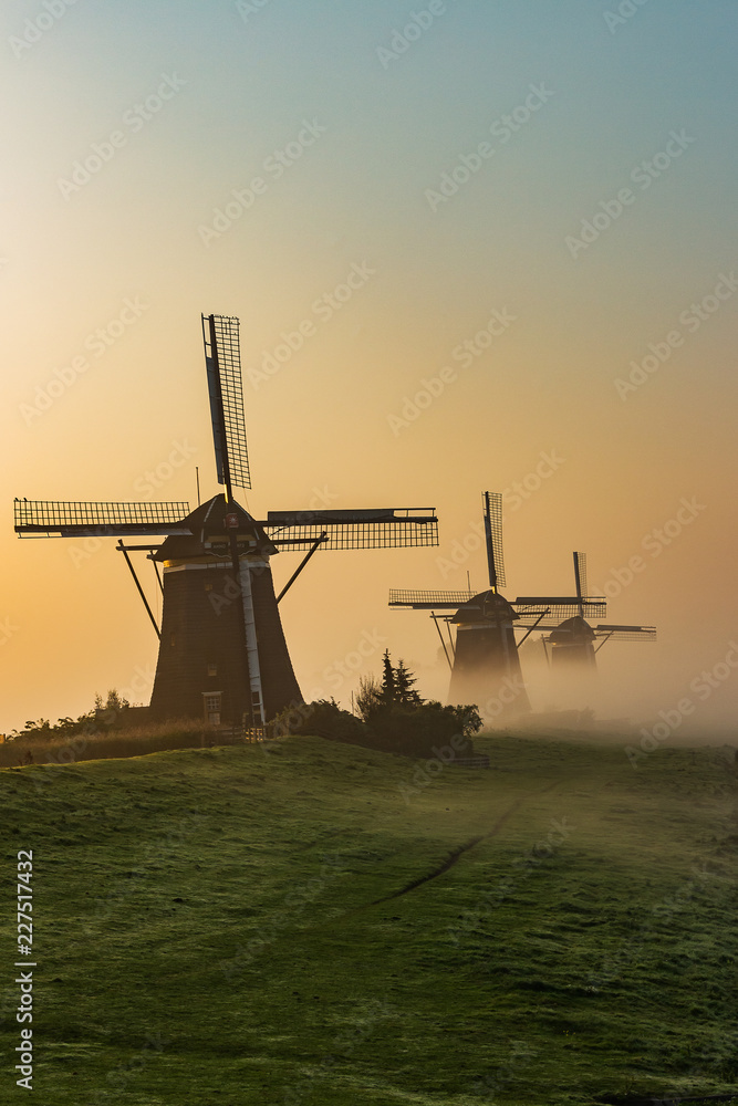Naklejka premium Three wind mills of Molendriegang Leidschendam, Netherlands during a misty Sunrise