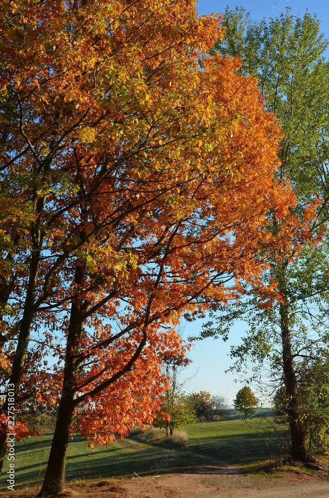 Wunderschöner bunter Herbst im Oktober Wunderschöner bunter Herbst im Oktober
