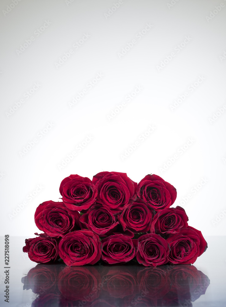 Isolated Dozen Roses