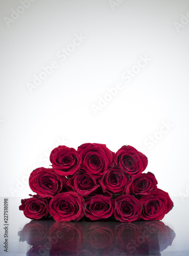 Obraz na płótnie Isolated Dozen Roses w salonie