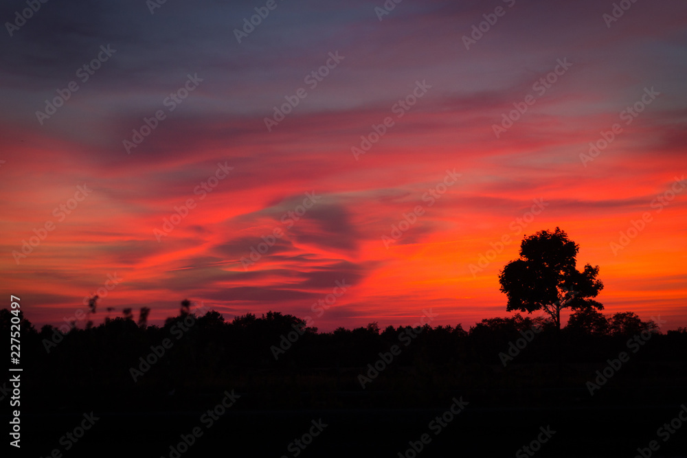 romantink sunset landscape with silhouette of trees 