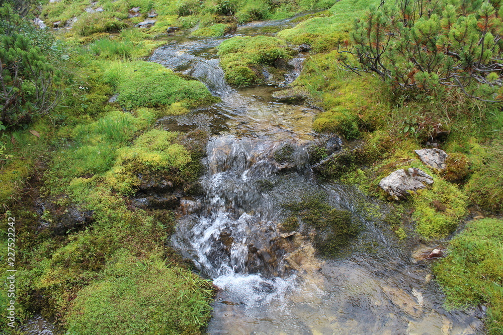 Bach fließt durch Wiese