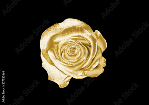 Gold flower on a black background .