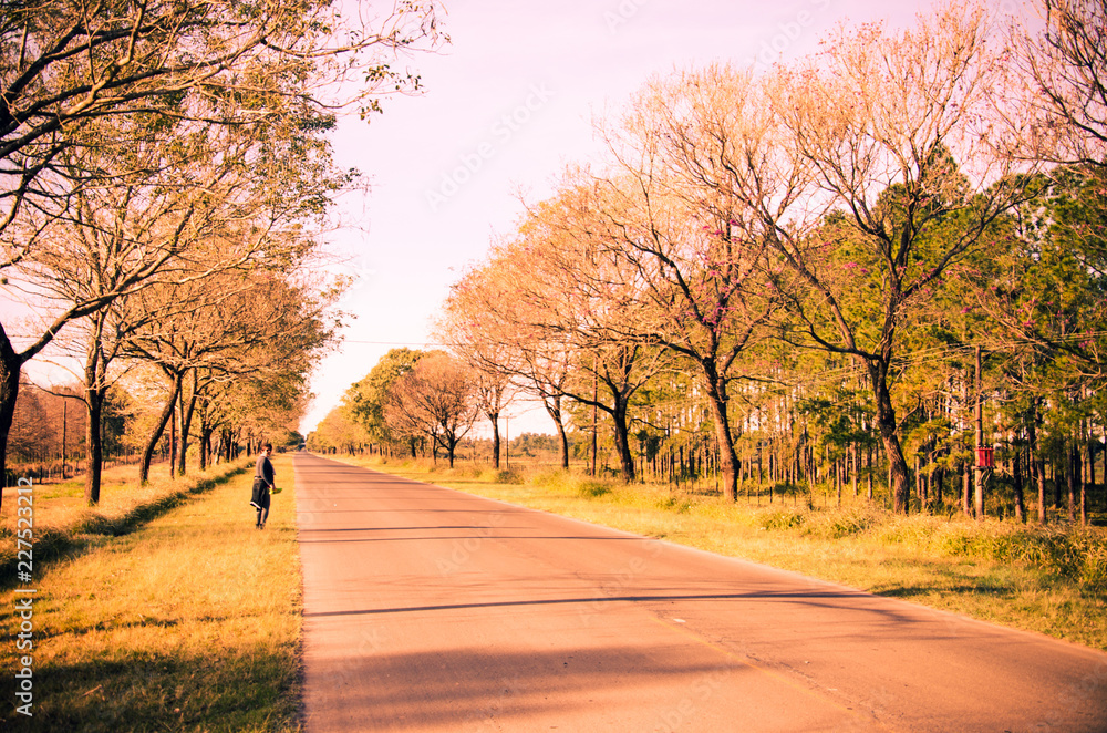 Naklejka premium Woman walking on the autumn road