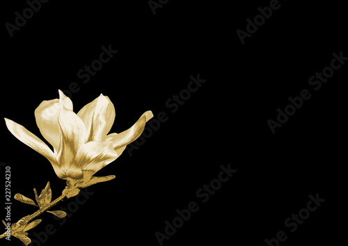 Gold flower on a black background .
