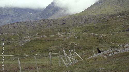 Clips from a day with fast moving clouds and a mystic late summer light, filmed in a valley in Riksgr√§nsen in swedish lapland. Clips containing a running standard poodle, an amazing waterfall and more photo