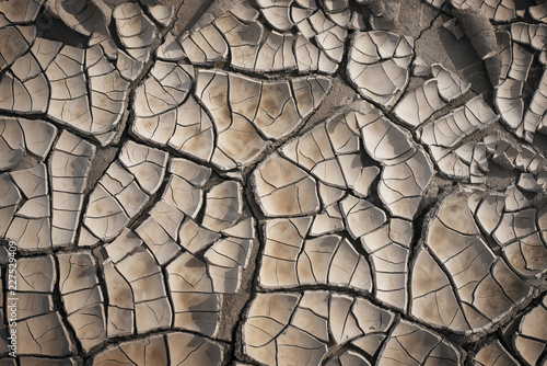 Cracked dry mud pattern