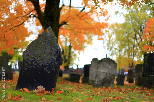 cimetière photo