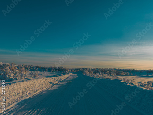 Road in Tundra