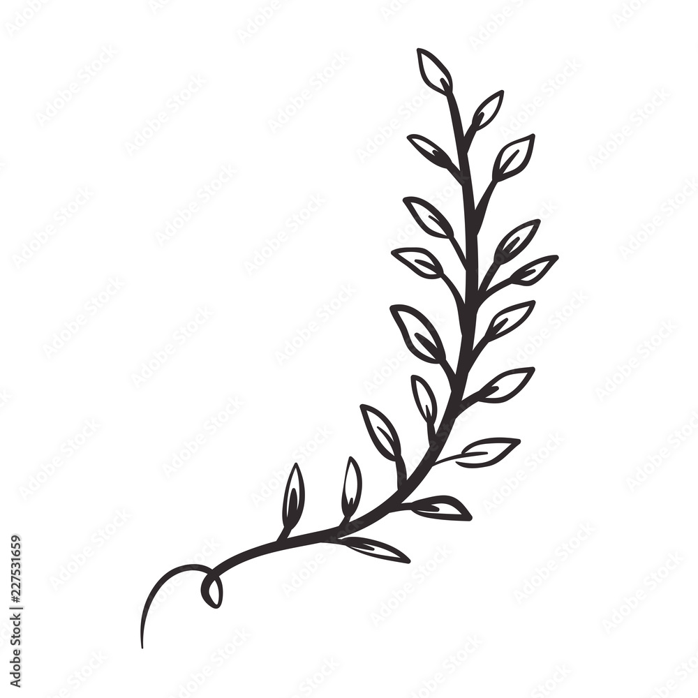 Fototapeta premium beautiful leaf plant isolated icon