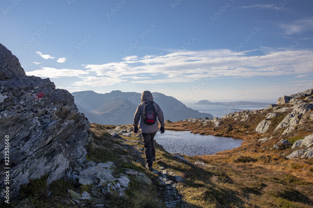  Woman on autumn hike on the Skomo mountain in Bronnoy municipality Northern Norway	