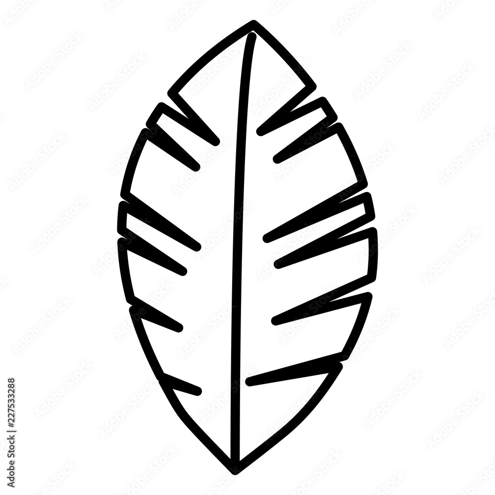 tropical leaf icon tropical leaf icon