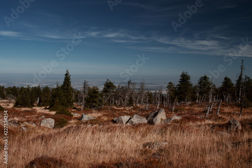 Mountain view landscape with rocks and pine tree on a bright blue sky late summer day. Brocken, nature reserve Harz mountains, National Park Harz in Saxony-Anhalt, Germany