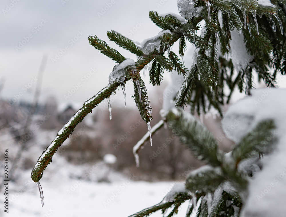 Obraz premium freezing rain