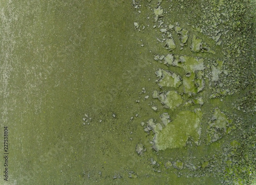 Green mossy grunge cement wall