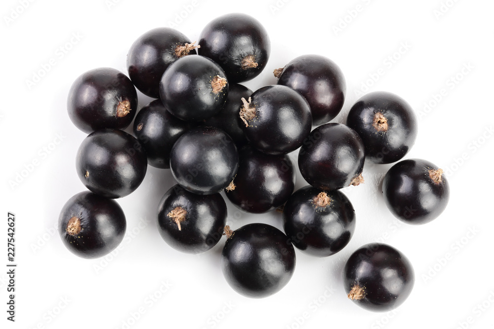 black currant isolated on white background. Top view. Flat lay pattern black currant isolated on white background. Top view. Flat lay pattern