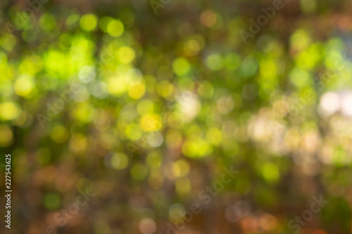Background with green bokeh