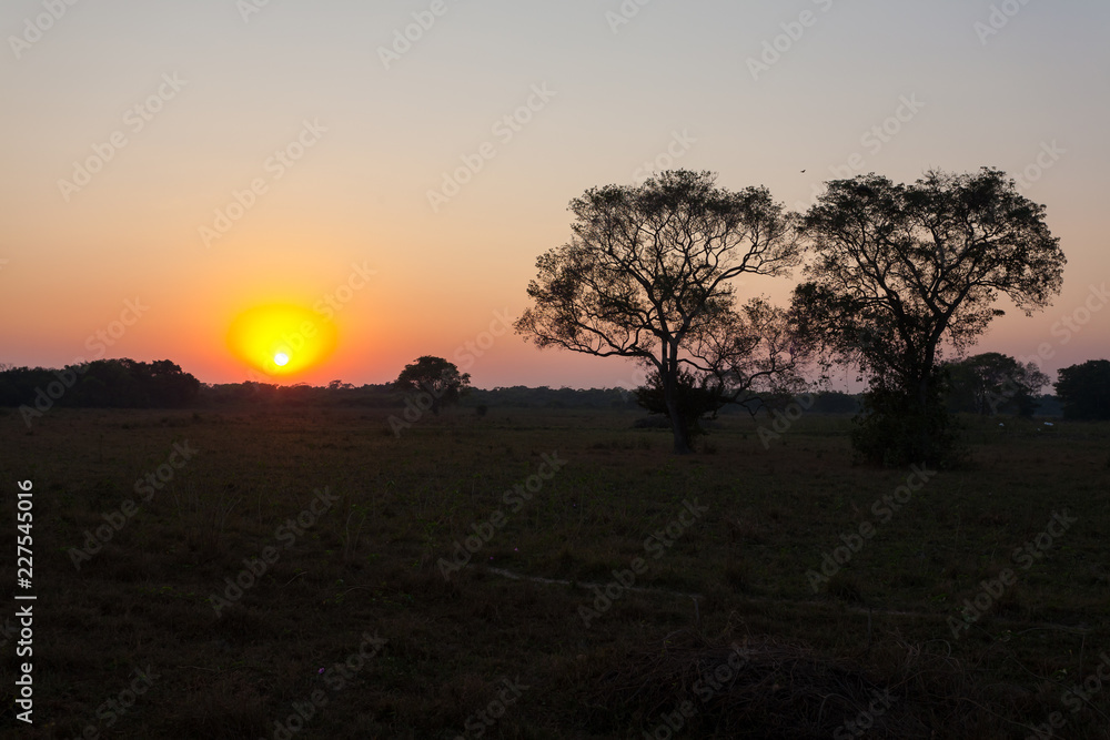 Sunrise from Pantanal, Brazil