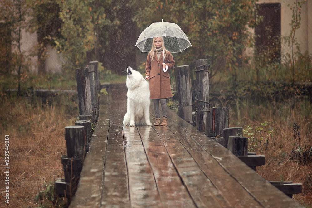 Fototapeta premium girl holding umbrella with samoyed dog
