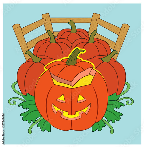 Pumpkin Patch / A jack o lantern in a pumpkin patch.
