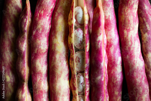 Pink spotted Borlotti or Cranberry beans