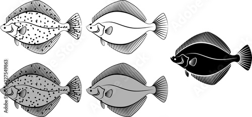 Canvas-taulu flounder