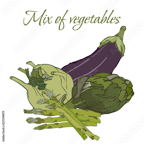Illustration of Tasty Veggies. Vector of mix of vegetables isolated on a White Background