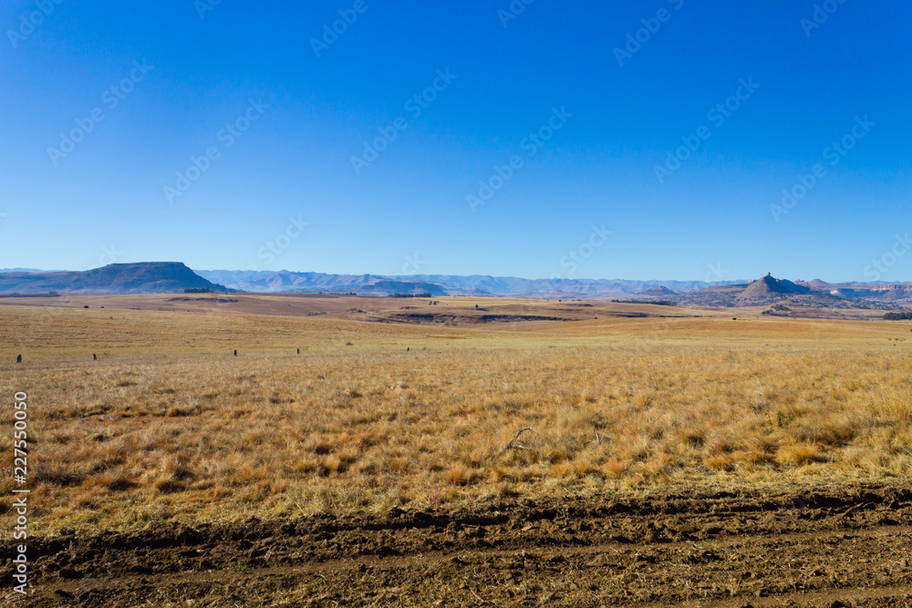 Orange Free State panorama, South Africa