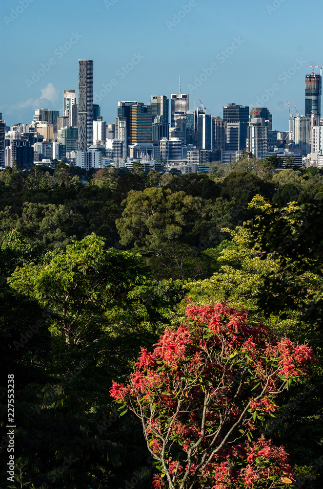 Fototapeta premium view of the city