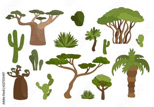 Vector set plants of Africa.
