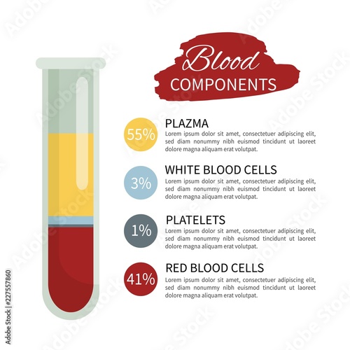 Infographics of the components of blood. A test tube with blood.