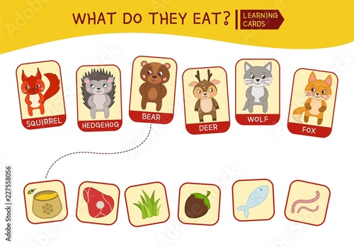 Vector set of cute cartoon animals. What do the animals eat.. Educational children's game. Learning cards.