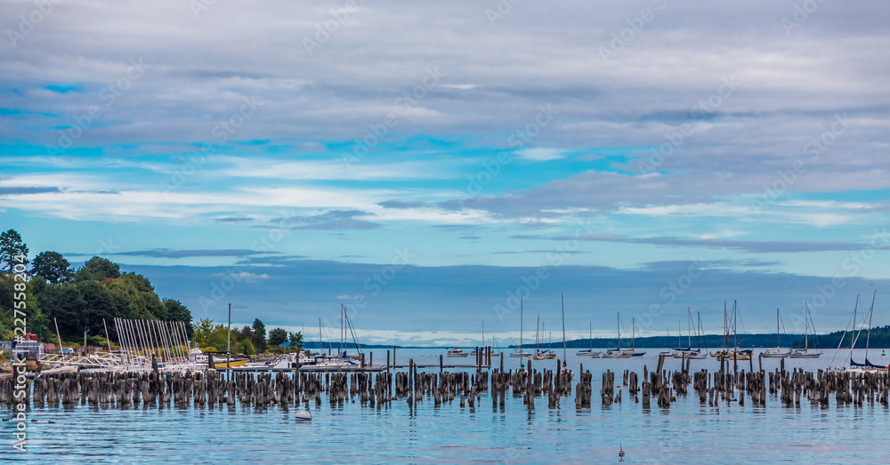 Old Pilings in Blue Hour