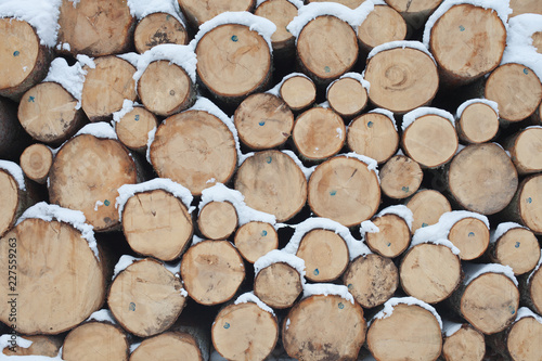 Wooden logs