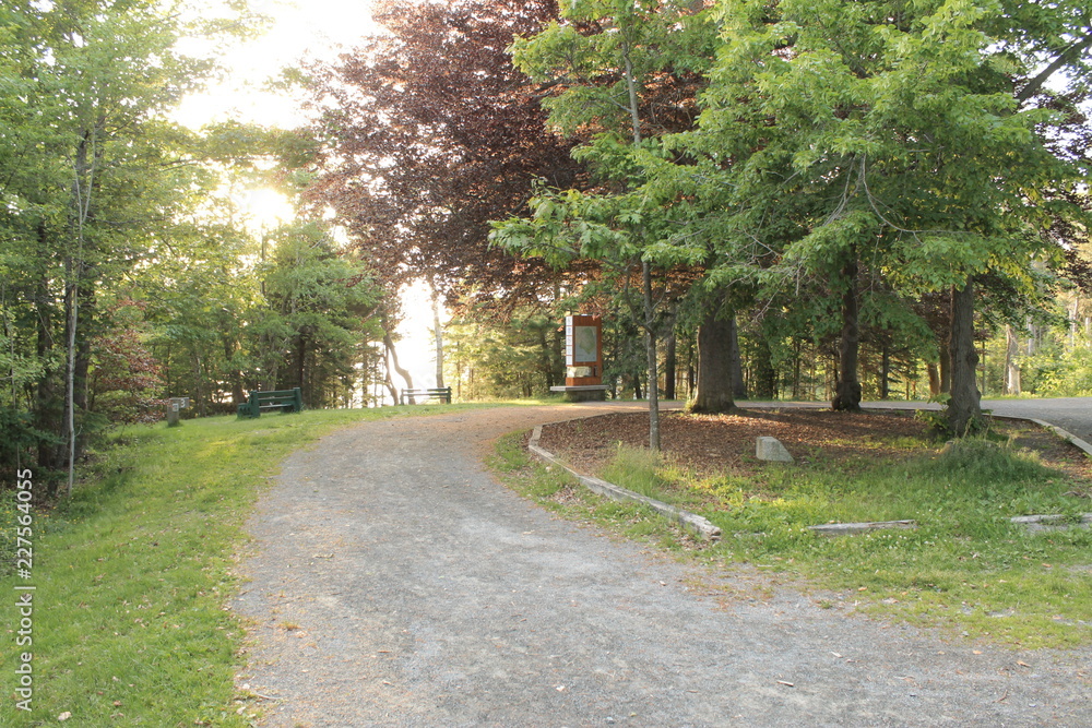 Trees and path5-Walking Tours in Canada