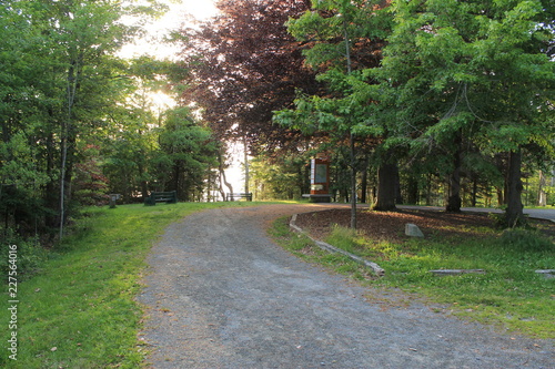 Fototapeta Naklejka Na Ścianę i Meble -  Trees and path 3-Walking Tours in Canada